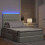 VidaXL vidaXL LED-Speicherbett mit Matratze Hellgrau 120 x 200 cm Samt 5