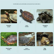 Casa Tanque Transparente para Tortugas con Áreas para Criar, Alimentar, Nadar, Tomar el , Jaula, Hábitat de Reptiles, Tipo