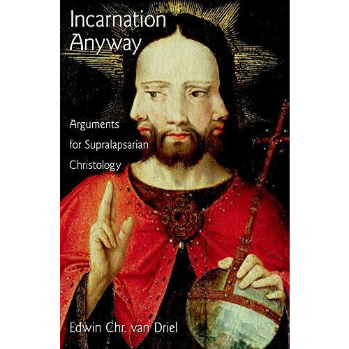 Incarnation Anyway by VAN DRIEL Hardcover Book