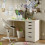 IKEA LAGKAPTEN ALEX Desk 120x60 cm 2