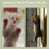 Window Fly Screen, Cat Screen, No Drilling, Cat Net, Scratch-Resistant, Stable for All Indoor Windows, Skylights 2
