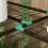 Mini Lean-To Greenhouse 46x143cm w/3 Shelves 8