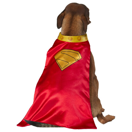 Superman (S, Red/Gold) Superman Krypto Dog Costume 2