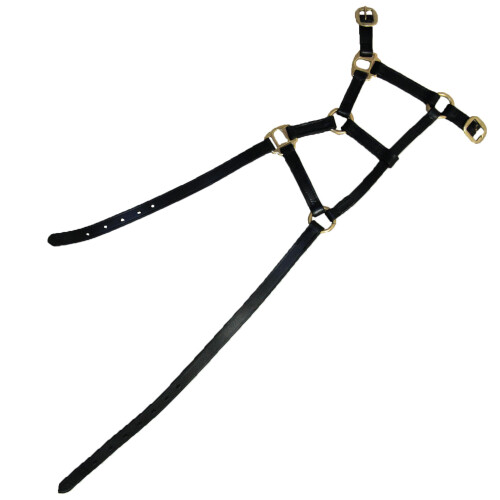 (Medium, Black) Hy Leather Foal Head Collar