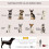 Foldable Pet Carrier for Small Dogs & Cats - Red 5