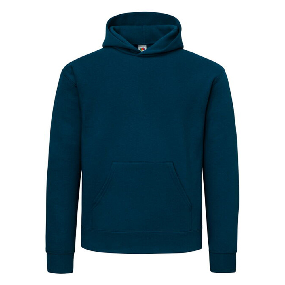 Fruit Of The Loom (Xxl, Mountain Blue) Mens Supercotton Cotton Hoodie