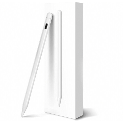 Penna stilo con stilo per iPad di decima e nona generazione_Omaggio speciale