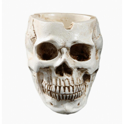 Human Skull Head Design Ashtray Container Creative Home Bar Decor_Special Gift 2