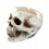 Human Skull Head Design Ashtray Container Creative Home Bar Decor_Special Gift 1