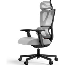 ProtoArc EC100 Ergonomic Office Desk Chair with 10cm Spring Cushion, Grey | Lumbar Support, Adjustable Armrest & Headrest