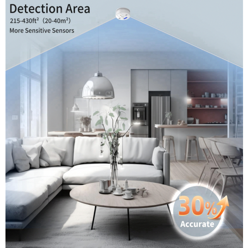 Carbon Monoxide Detector CO Detector Battery Powered Alarm_Special Gift 1