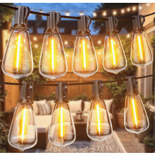 Festoon Lights Outdoor 100FT/30M, Warm White ST38 Garden Lights, Waterproof Outdoor Light Mains Powered with 50+2 Plastic LED Bulbs, Led String Light