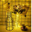 LED starry string lights battery powered 480 pcs_Special Gift 5