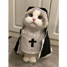 (Dubh, B) 1 phíosa Gabhálais Chulaith Oíche Shamhna Peataí Gleoite, Éadaí Madra Beag/Cat_Bronntanas Speisialta