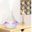 Essential Oil Diffuser Ultrasonic Mist Purifier LED Air Humidifier_Special Gift 1