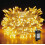100 Warm White LEDs Multifunction Timer Clear Cable Outdoor String Fairy Lights 10M_Special Gift 1