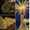 Solar String Lights 50 LED 8 Modes 2 Pack_Special Gift 4