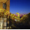 Solar String Lights 50 LED 8 Modes 2 Pack_Special Gift 2