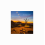 Portable Outdoor Solar String Lights丨Waterproof Camping LED Light_Special Gift 4