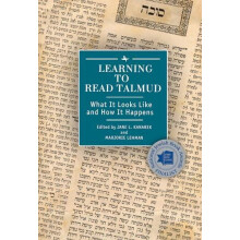 Learning to Read Talmud What It Looks Like and How It Happens Hardcove