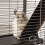 Small Animal Cage with Wheels & Hammock 8