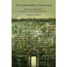 Explainability of Experience Realism and Subjectivity in Spinozas Theo