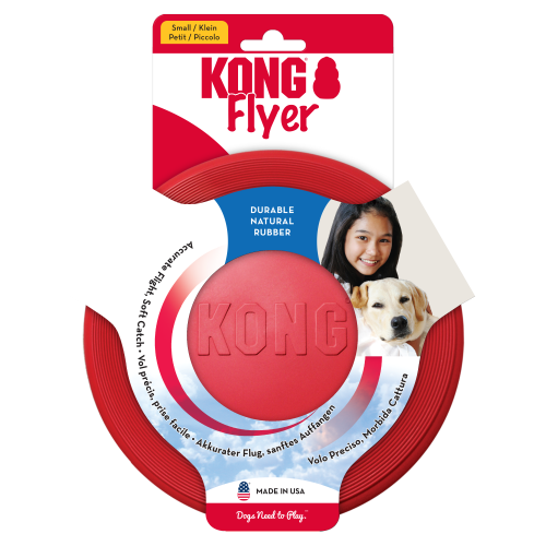 KONG KONG Flyer Small 1