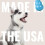 KONG KONG Puppy Teething Stick Medium 6