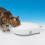Pet Mate Cat Mate C500 Automatic Pet Feeder with Digital Timer 365 2