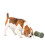PetSafe PetSafe Kibble Chase Roaming Treat Dispenser 3