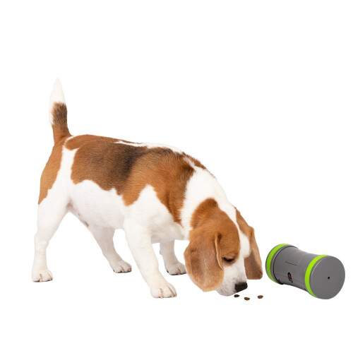 PetSafe PetSafe Kibble Chase Roaming Treat Dispenser 2
