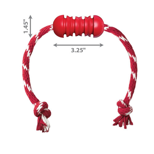 KONG KONG Dental With Rope Small 1