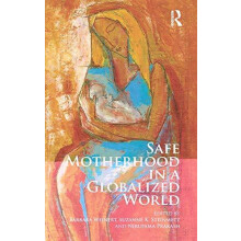 Safe Motherhood in a Globalized World Hardcover Book
