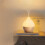 Essential Oil Diffuser, 100ml Small Aromatherapy Ultrasonic Cool Mist Humidifier with Warm White Lights, Auto Shut- Function 1