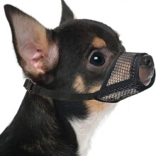 Koiran kuono, pehmeä verkkokuono pienille, keskikokoisille ja suurille koirille, chihuahua, villakoira, husky, labradorinnoutaja, hengi