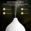 Essential Oil Diffuser, 100ml Small Aromatherapy Ultrasonic Cool Mist Humidifier with Warm White Lights, Auto Shut- Function 4