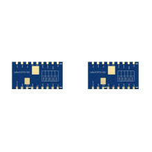 2X LoRa1121F33-1G9 Hochleistungs-LoRa-Modul 2 W LR112-Kompatibel Sub-GHz S-Band SPI-Kommunikation