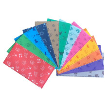 Cash Envelopes for Budget System Money Envelopes for Budgeting and Saving Tear and Water Resistant Vertical Version A6