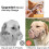 Dog Muzzle, Humane Design Breathable Dog Panting and Drinking Adjustable, Padded 4
