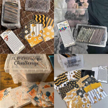 100 Envelopes Money Saving Challenge Budget Planning Handbook Mastering the Progress with Storage Box for Repay D