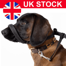 Total Pet Figure of 8 Dog Lead Flat Anti Pull Stop Dogs Pulling Slip Leads