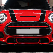 JCW Frontstoßstangengrill 51137393456 Passend für