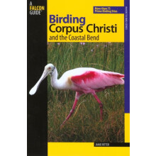 Birding Corpus Christi and the Coastal Bend by Jamie Ritter Paperback