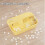 Petite Cage de Transport pour Hamster, Gerbilles et Cochons D'Inde - Beige 3