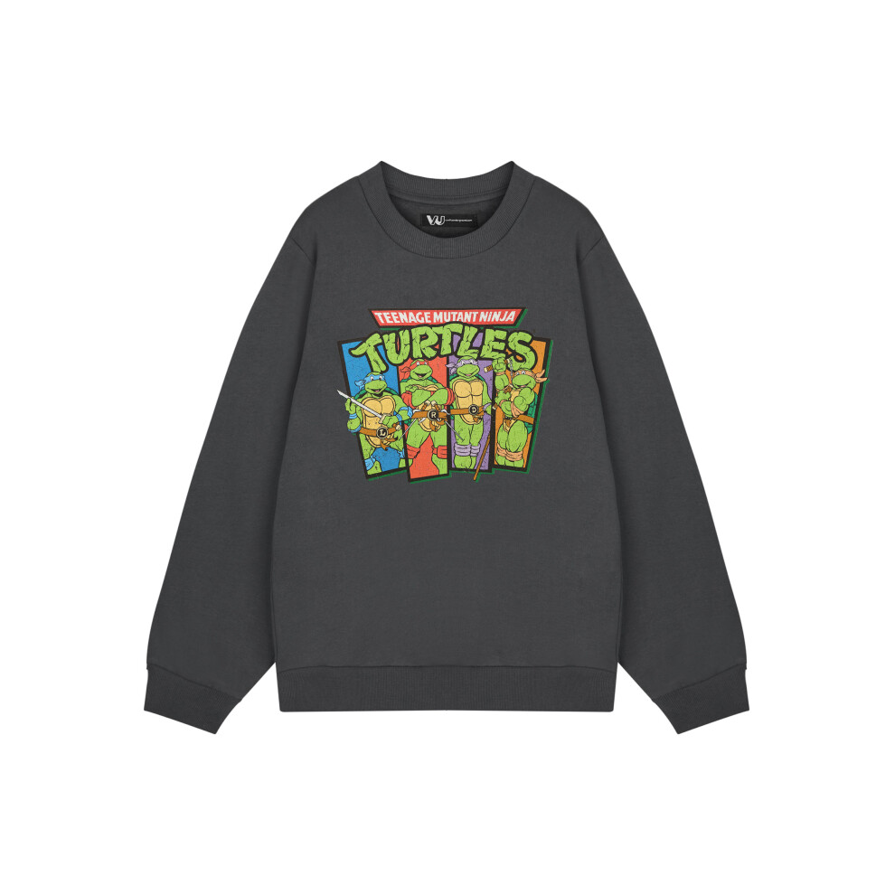 Teenage Mutant Ninja Turtles (Large) Sweatshirt (Mens Grey)