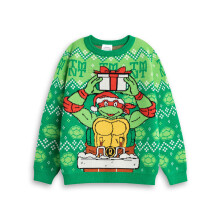 (3-4 Years) Teenage Mutant Ninja Turtles Christmas Jumper (Unisex Kids Green)