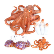 Octopus Growth Cycle,Animal Growth Cycle Biological Model for Kids Education Insect Themed Party Favors 2437