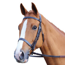 (X Full, Black) Aviemore Plain Leather Horse Bridle