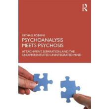 Psychoanalysis Meets Psychosis Attachment Separation and the Undiffere