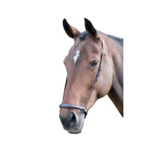 (Cob, Havana) Blenheim Leather Horse Drop Noseband